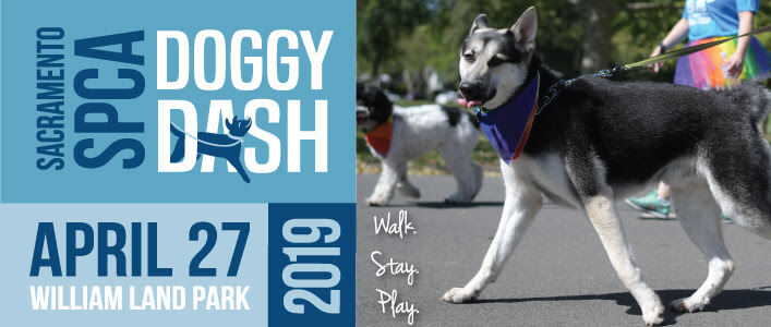 Sacramento SPCA | Doggy Dash | April 27, 2019 | William Land Park | Walk Stay Play