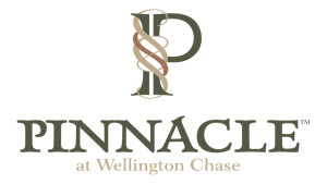 Pinnacle at Wellington Chase