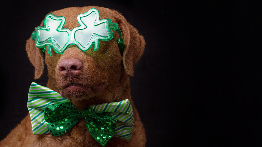 St. Patrick's Day Events | Get Your Irish on! Fantastic St. Patty’s Festivities Near You