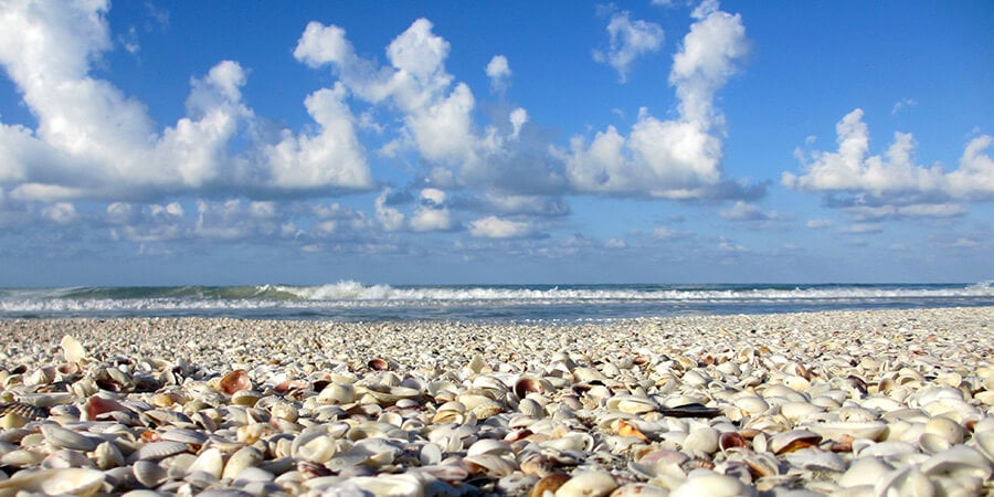 Plan a visit to Sanibel Island near Lucaya in Fort Myers
