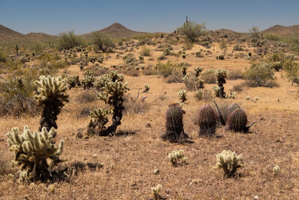 Phoenix Sonoran Preserve