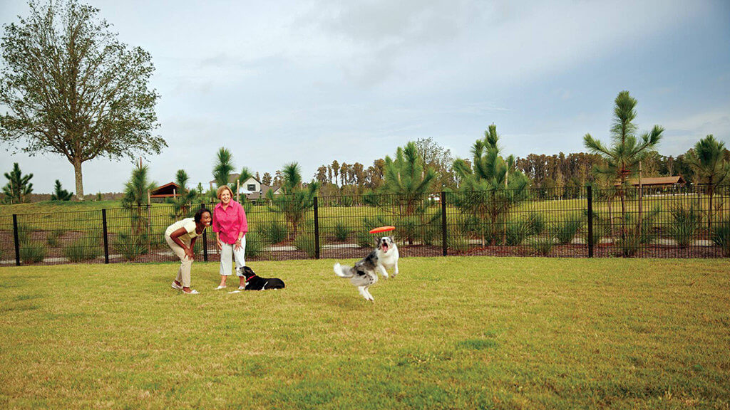 Pooch Park | Whitfield Preserve - Starkey Ranch Odessa, Florida