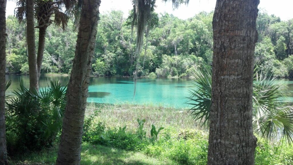This Labor Day: EXPLORE THE RIVERS AND SPRINGS NEAR TAMPA, FL