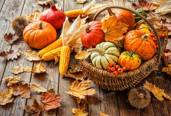 Decorate Your Home to Welcome Fall - Second House on the Right