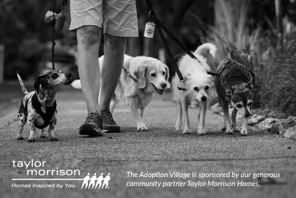The Adoption Village is sponsored by our generous community partner Taylor Morrison Homes. 