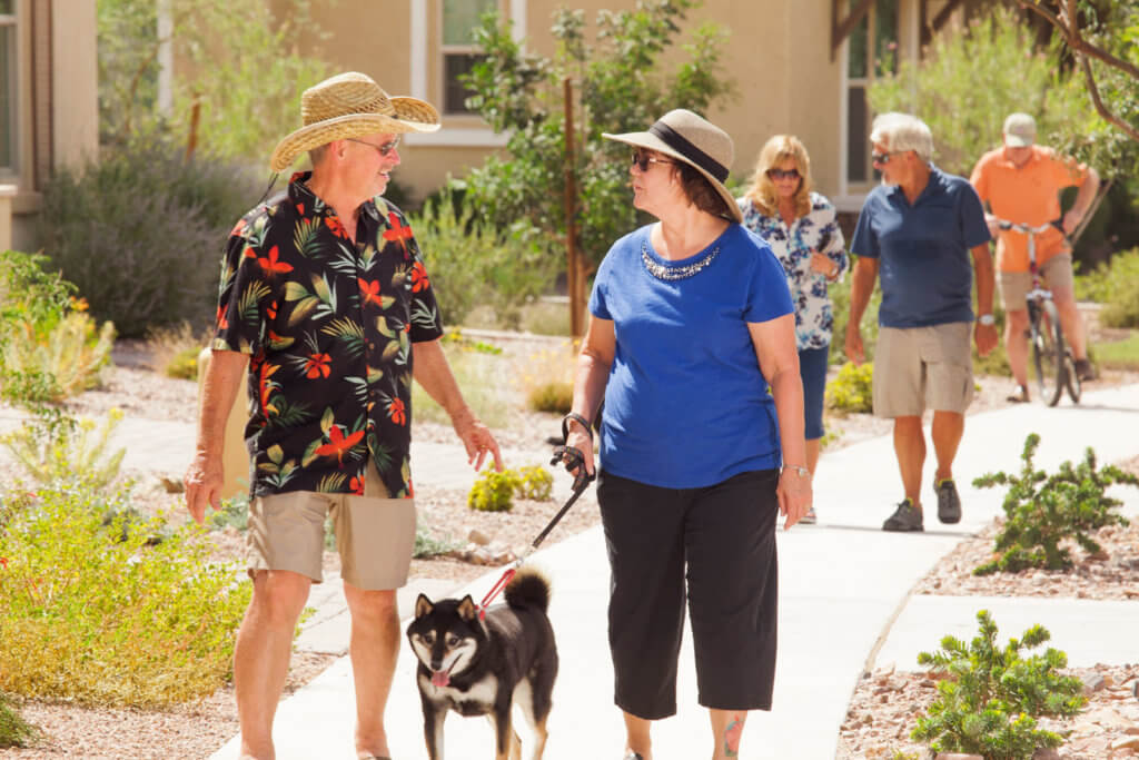 Encore at Eastmark - A Fresh Take on Active Adult Living in Mesa, AZ