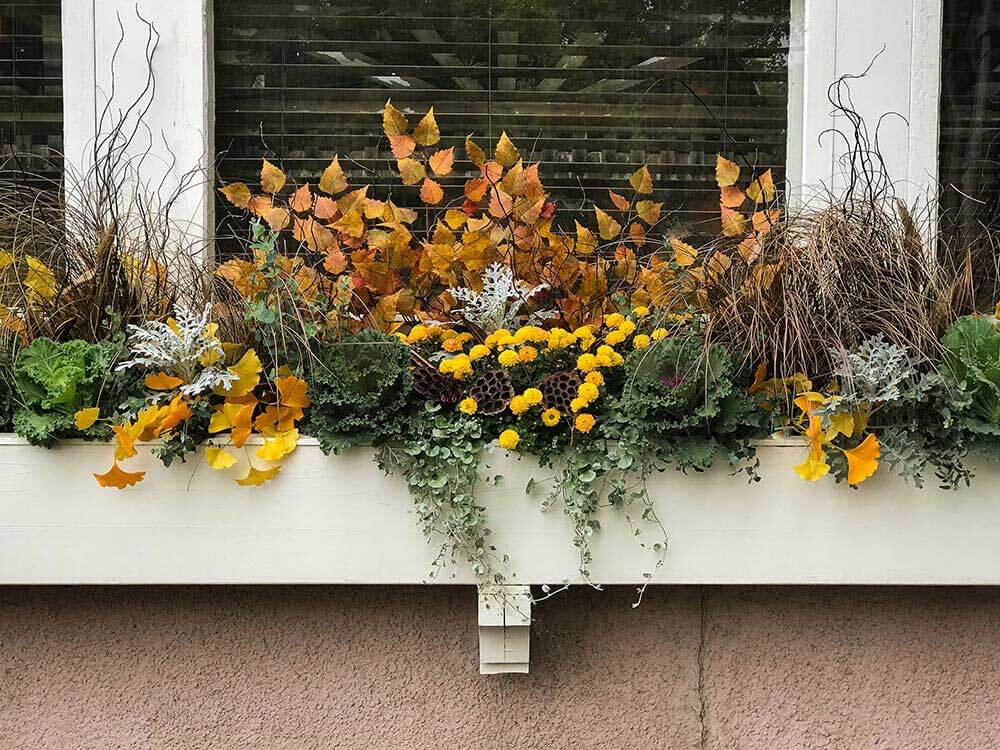 A fall-themed window planter filled with yellow chrysanthemums, autumn leaves, ornamental grasses, and vibrant greenery, creating a cozy and inviting seasonal display. 