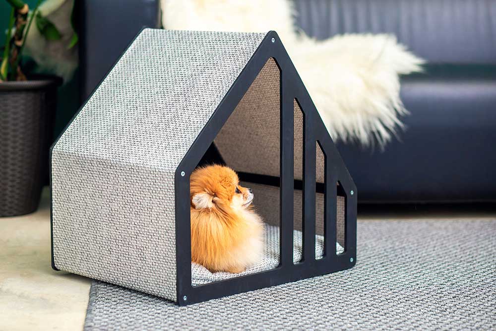 Discover practical and stylish pet-friendly home design ideas. From durable flooring to pet-safe plants, create a cozy space for you and your furry friends!