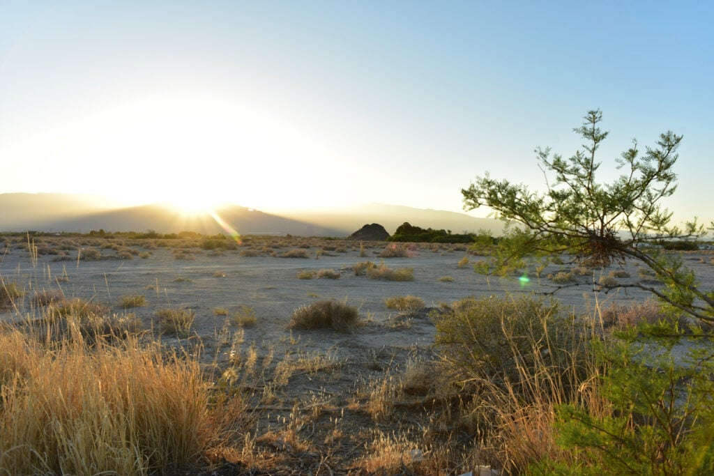 pahrump nv